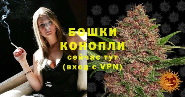 молекула духа Михайловка