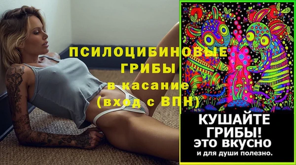 прущие крисы Михайлов