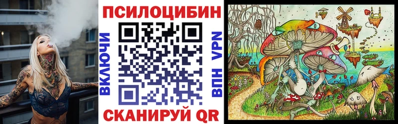 Галлюциногенные грибы Psilocybine cubensis  Новопавловск 