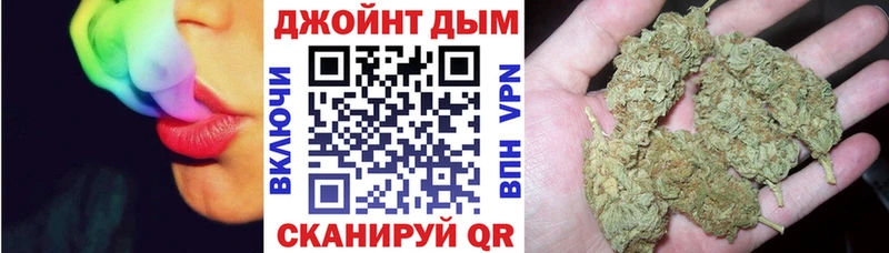 Бошки Шишки Amnesia  где купить наркоту  kraken ТОР  Новопавловск 